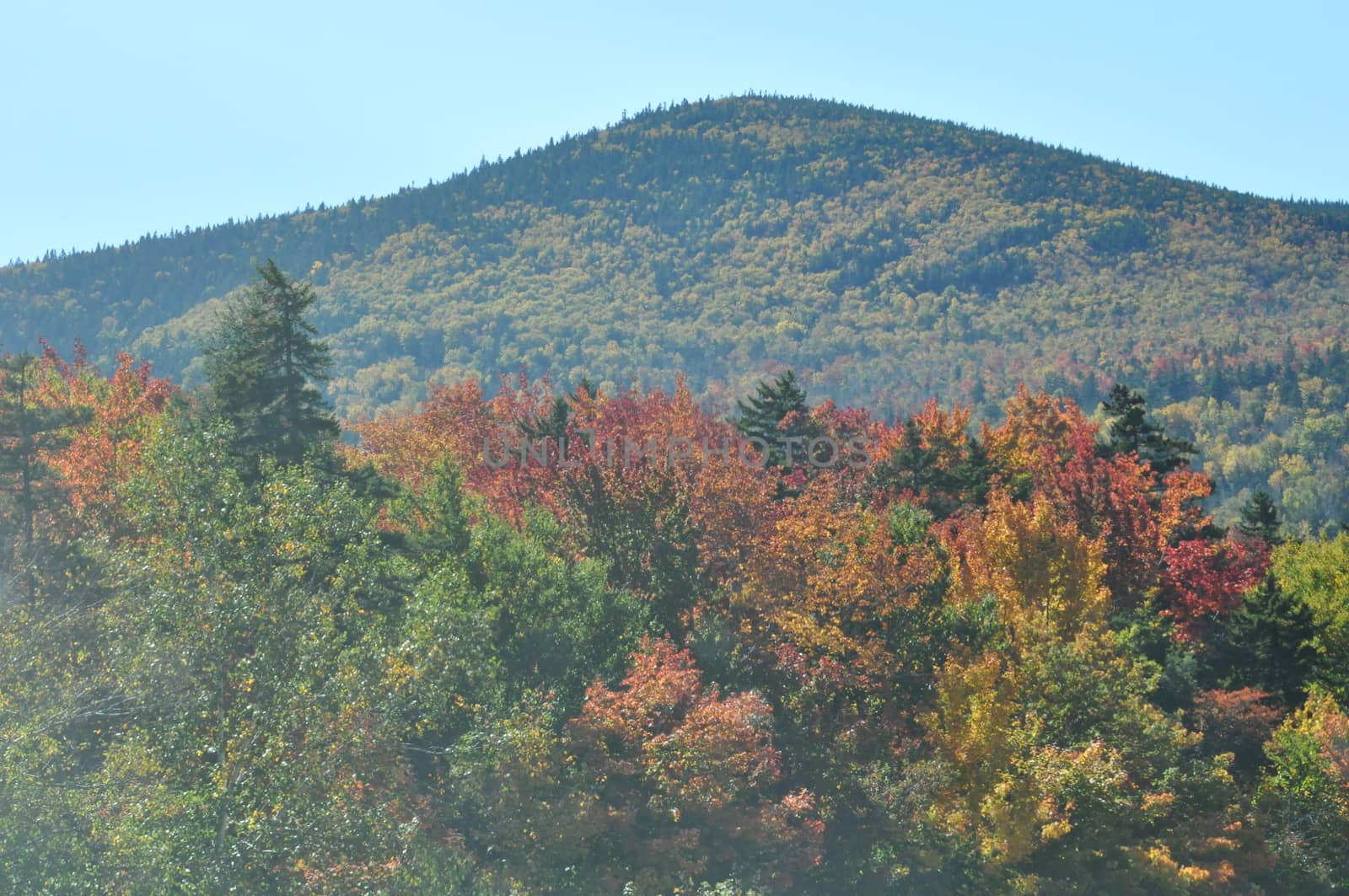 Fall Colors at the White Mountain National Forest in New Hampshire by sainaniritu