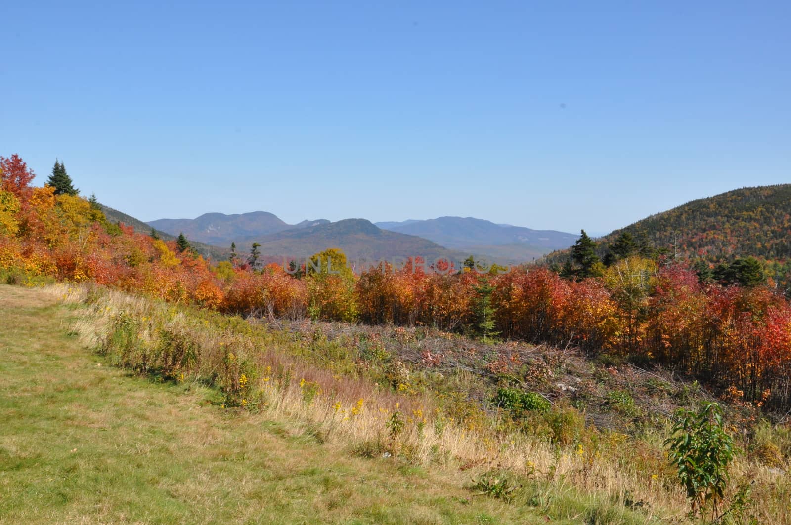 Fall Colors at the White Mountain National Forest in New Hampshire by sainaniritu