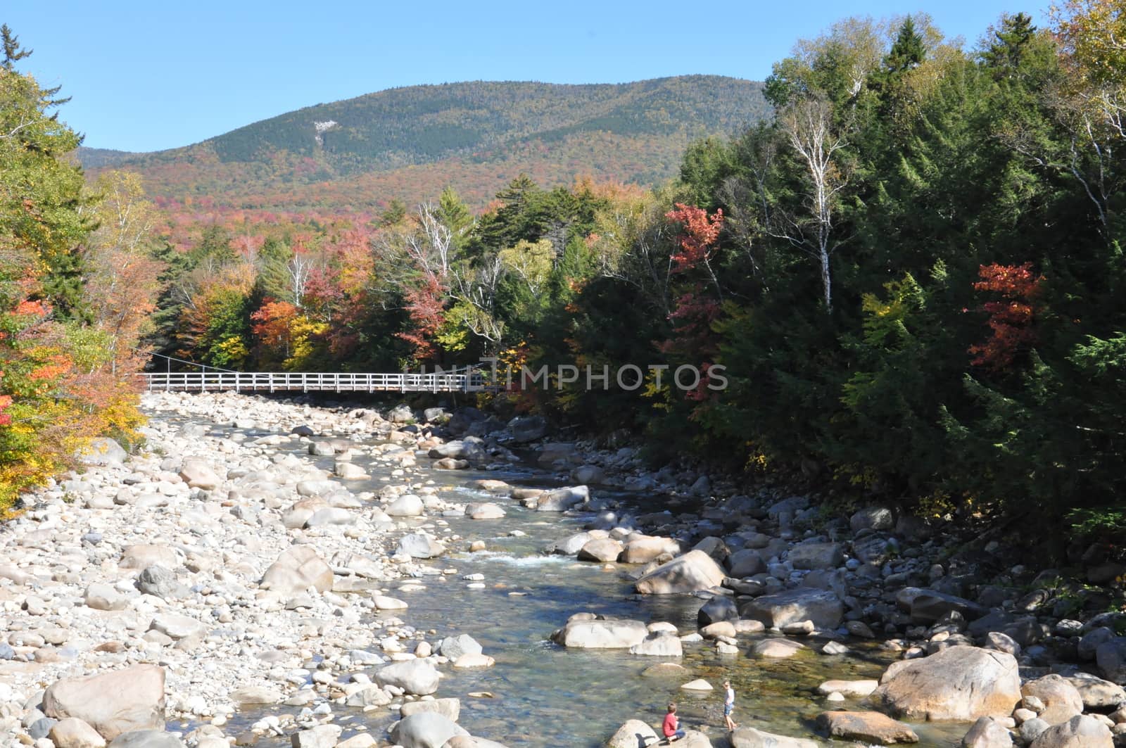 Fall Colors at the White Mountain National Forest in New Hampshire