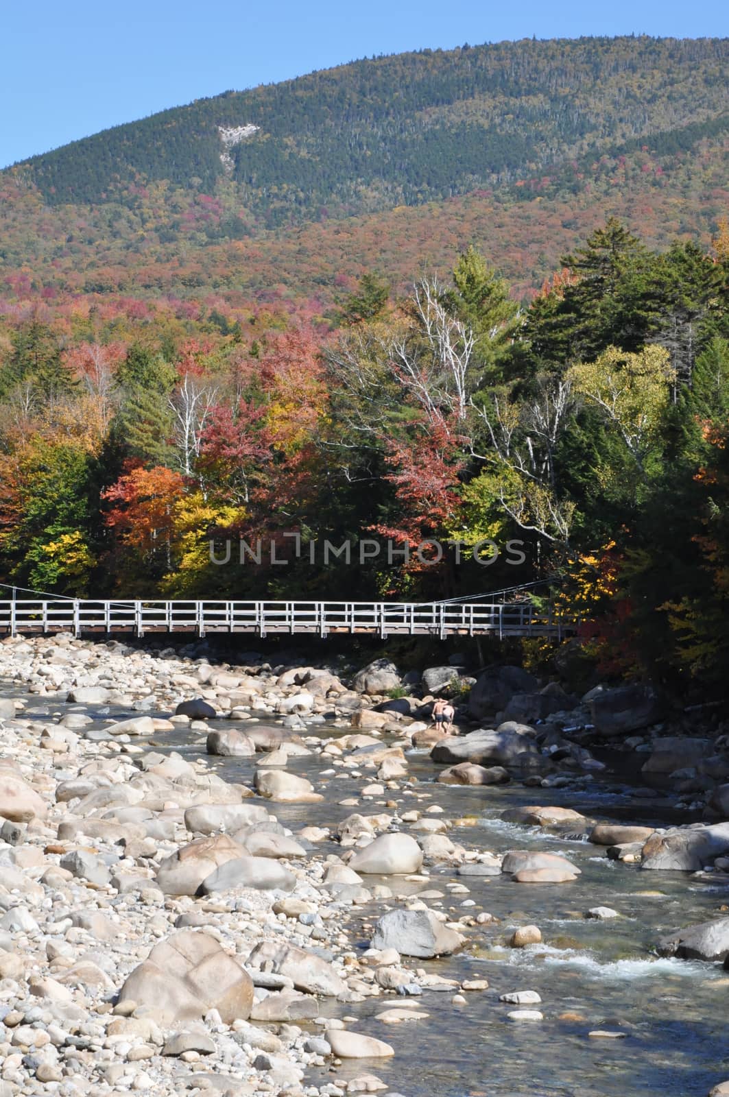 Fall Colors at the White Mountain National Forest in New Hampshire