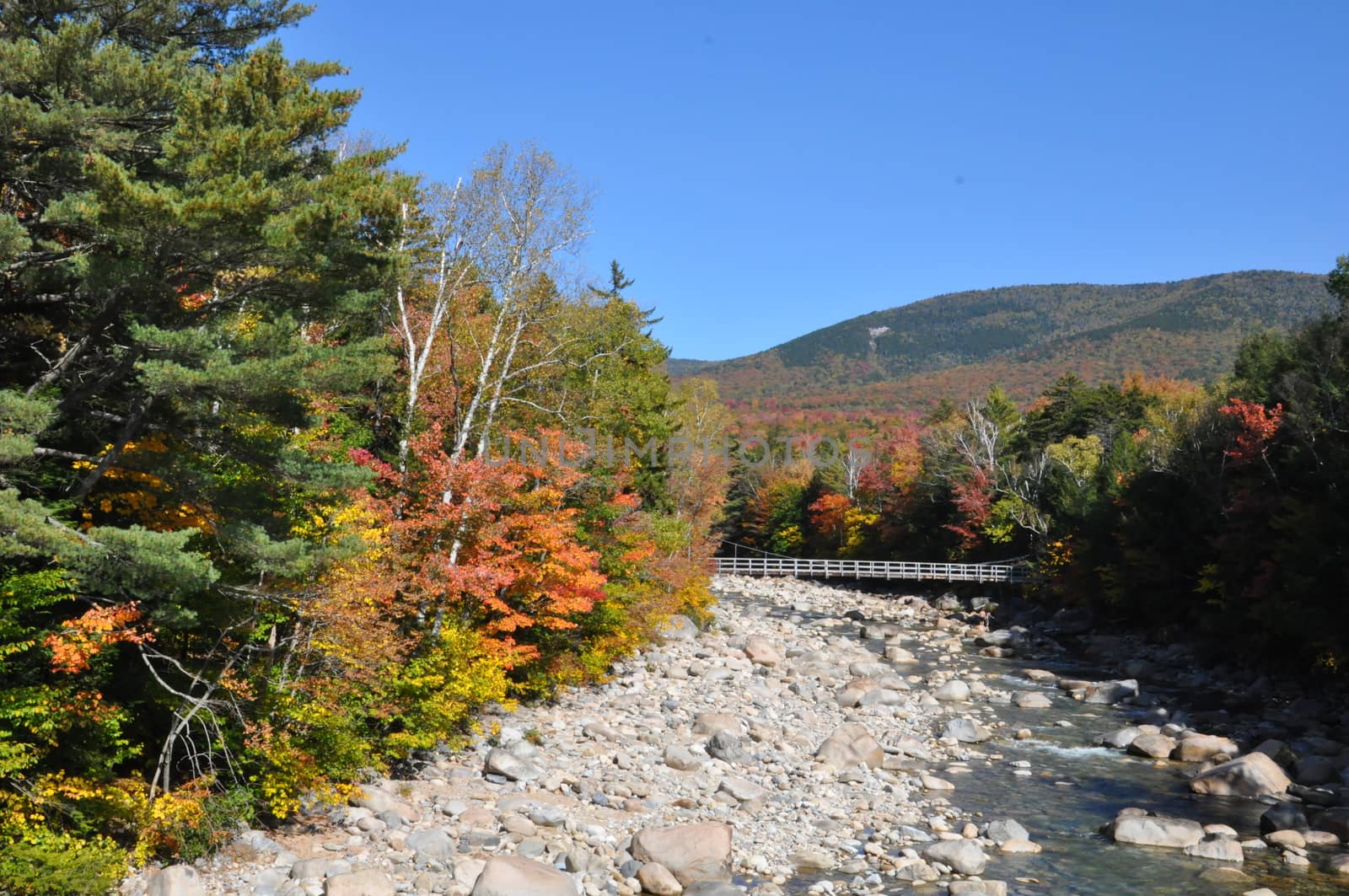 Fall Colors at the White Mountain National Forest in New Hampshire