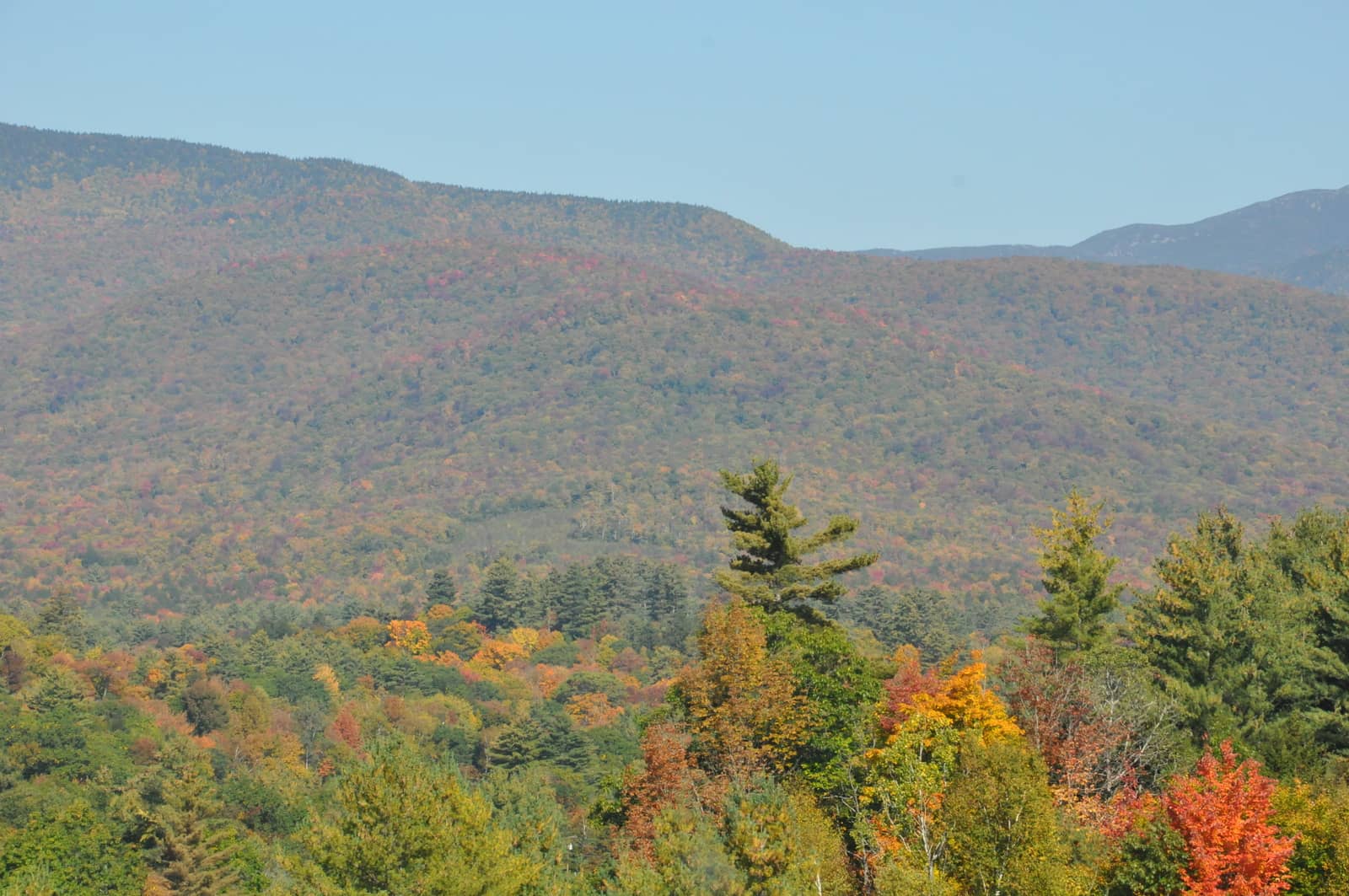 Fall Colors at the White Mountain National Forest in New Hampshire by sainaniritu