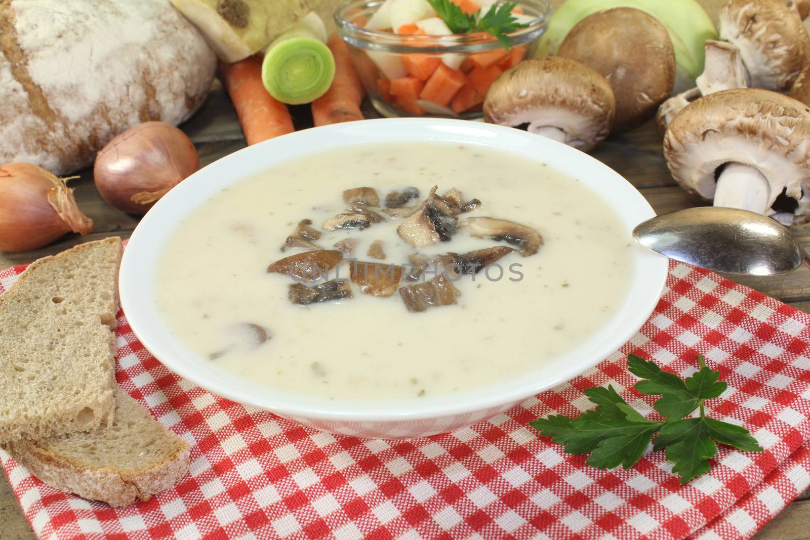 healthy Veal soup mt mushrooms