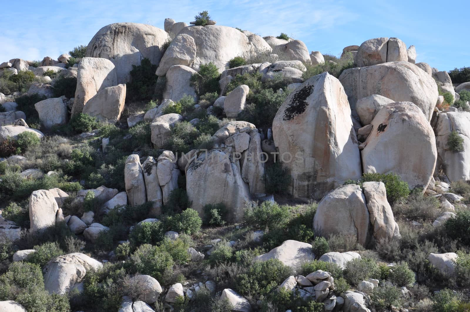 Pines to Palms Scenic Byway in California