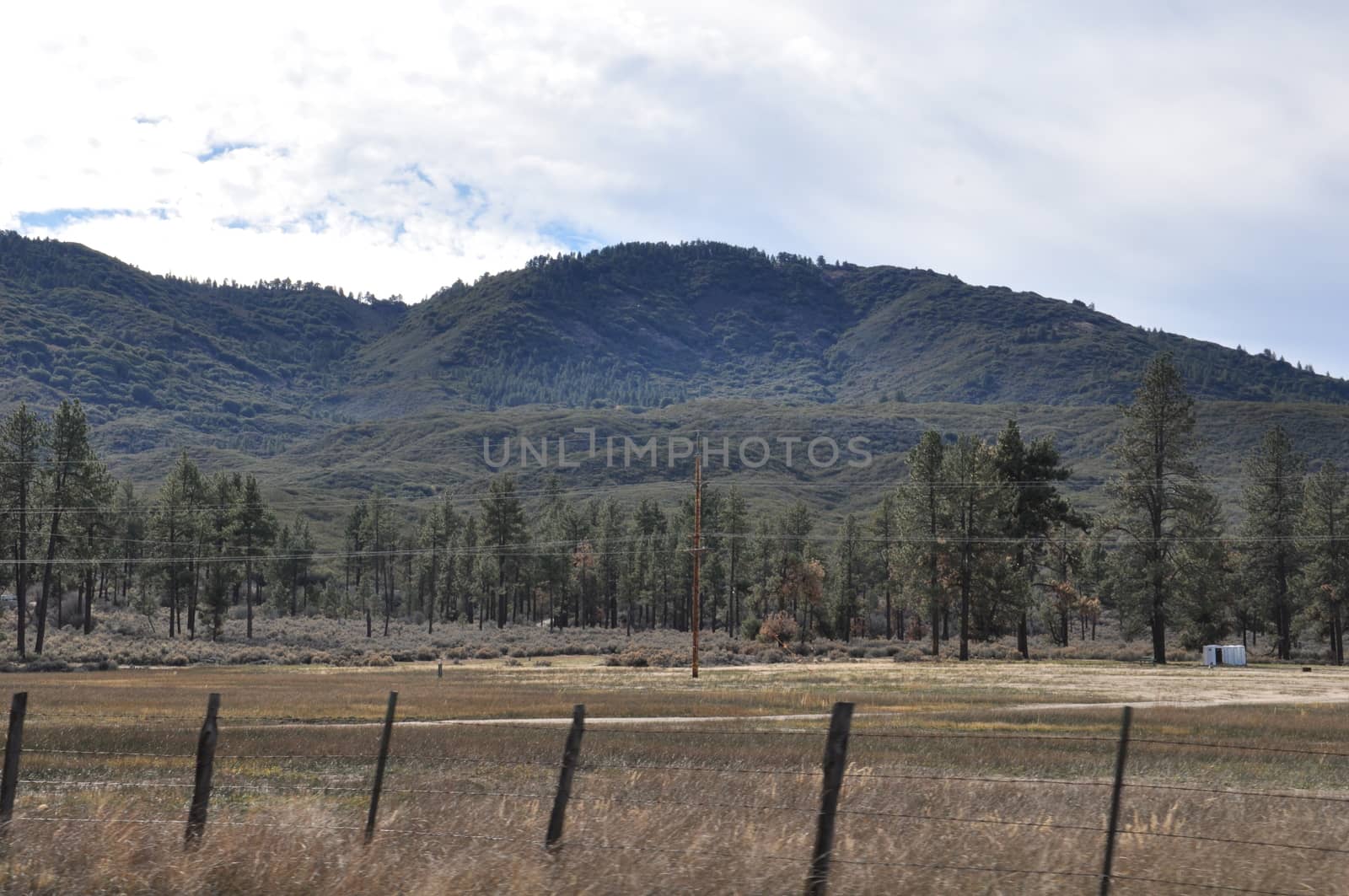 Pines to Palms Scenic Byway in California