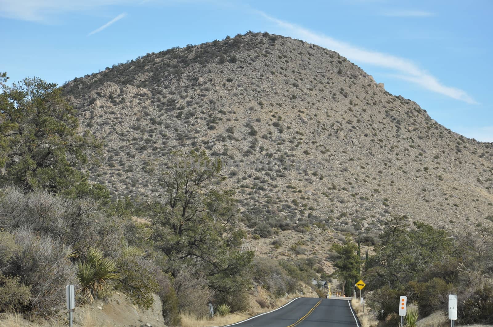 Pines to Palms Scenic Byway in California by sainaniritu