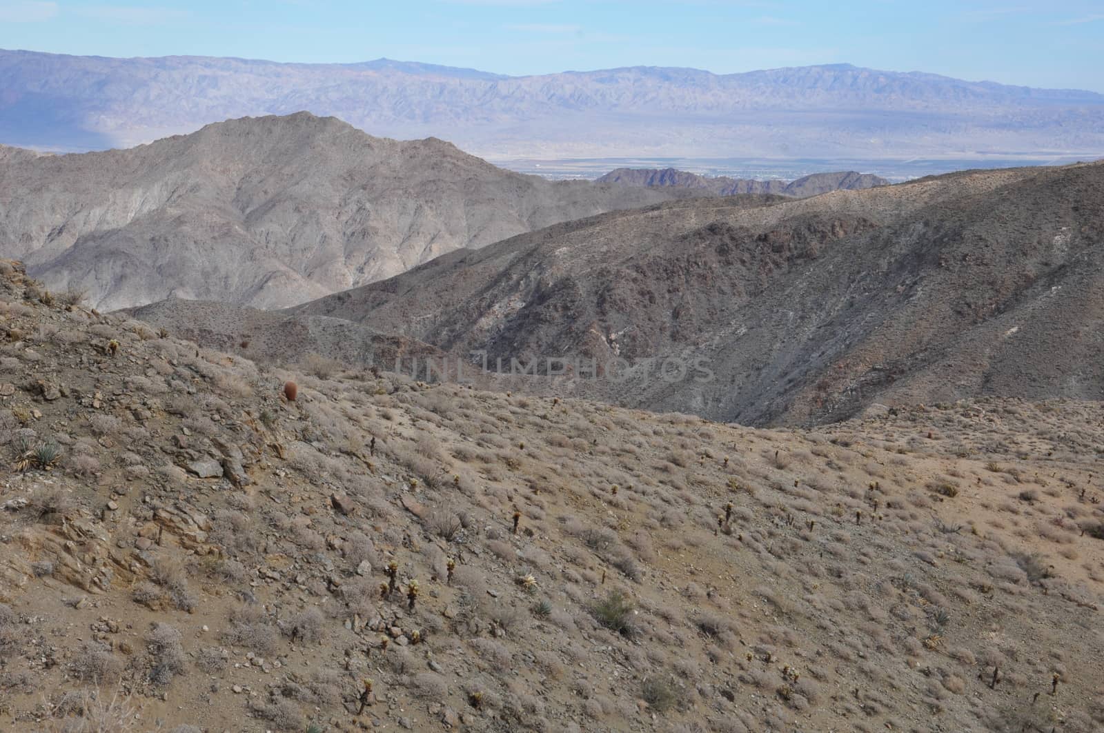 Pines to Palms Scenic Byway in California