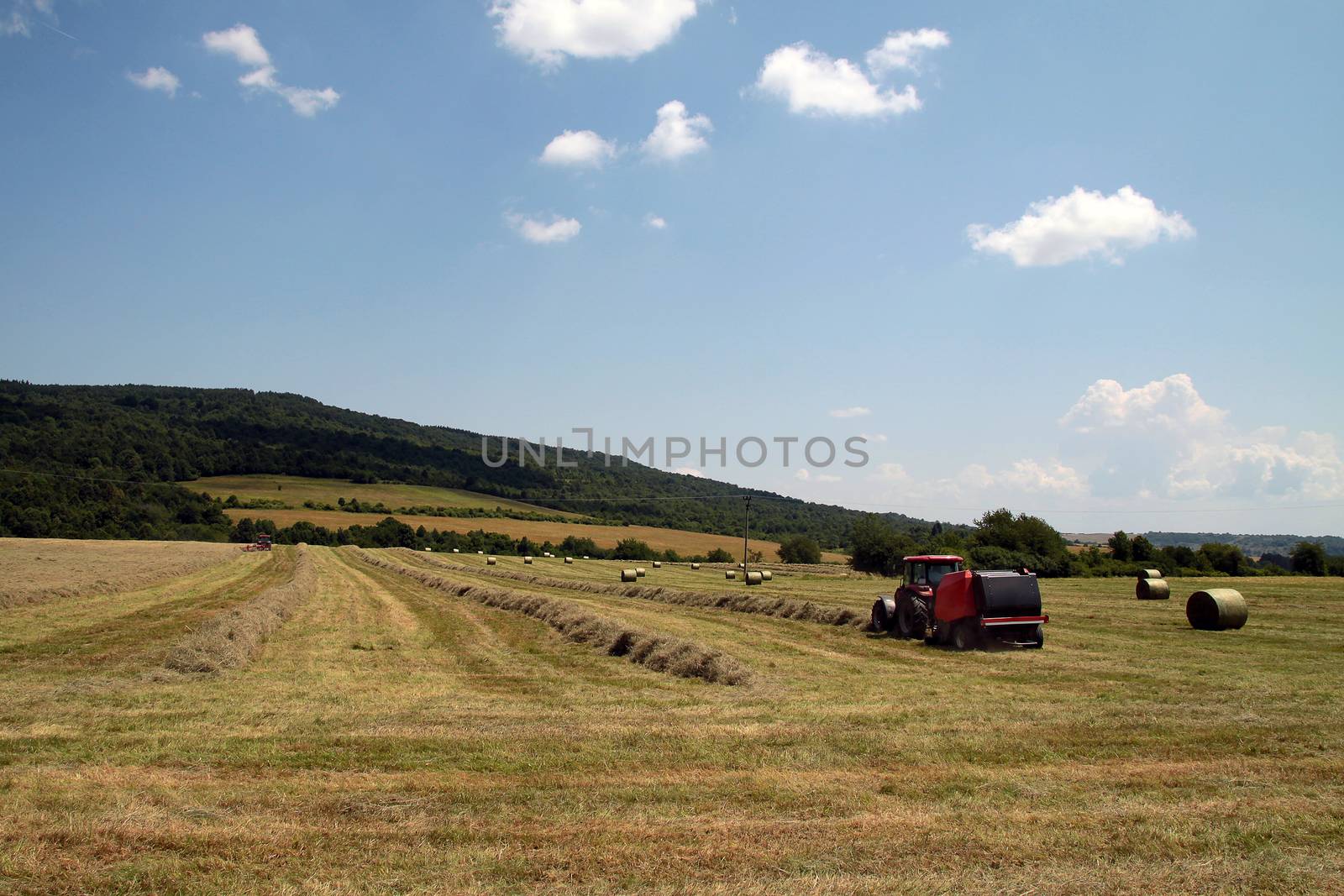 Tractors on field collected hay and make the packages