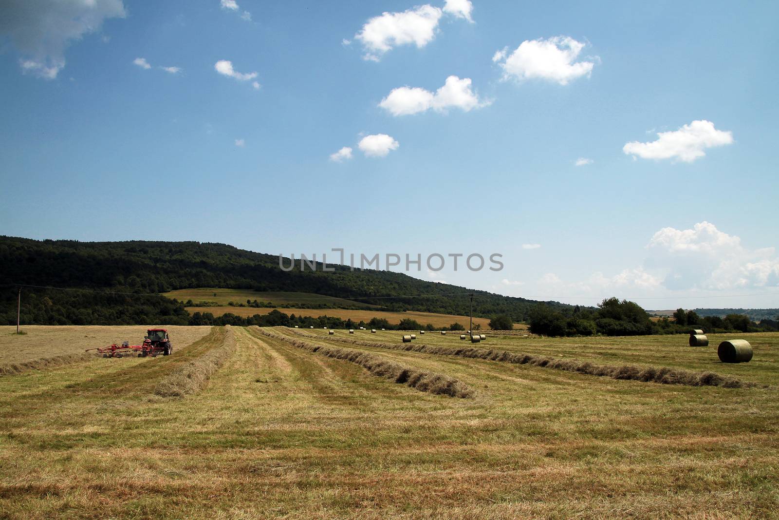 Tractors on field collected hay and make the packages