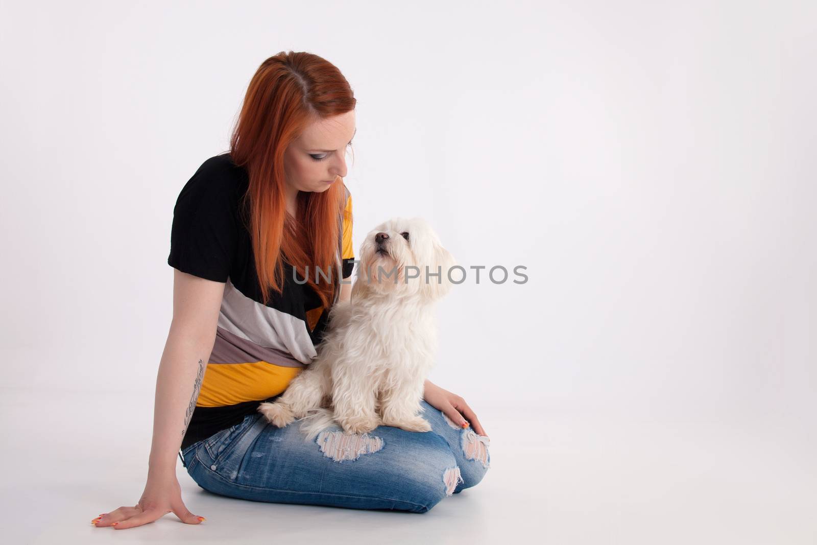 Young redhead woman with her white Maltese dog in studio