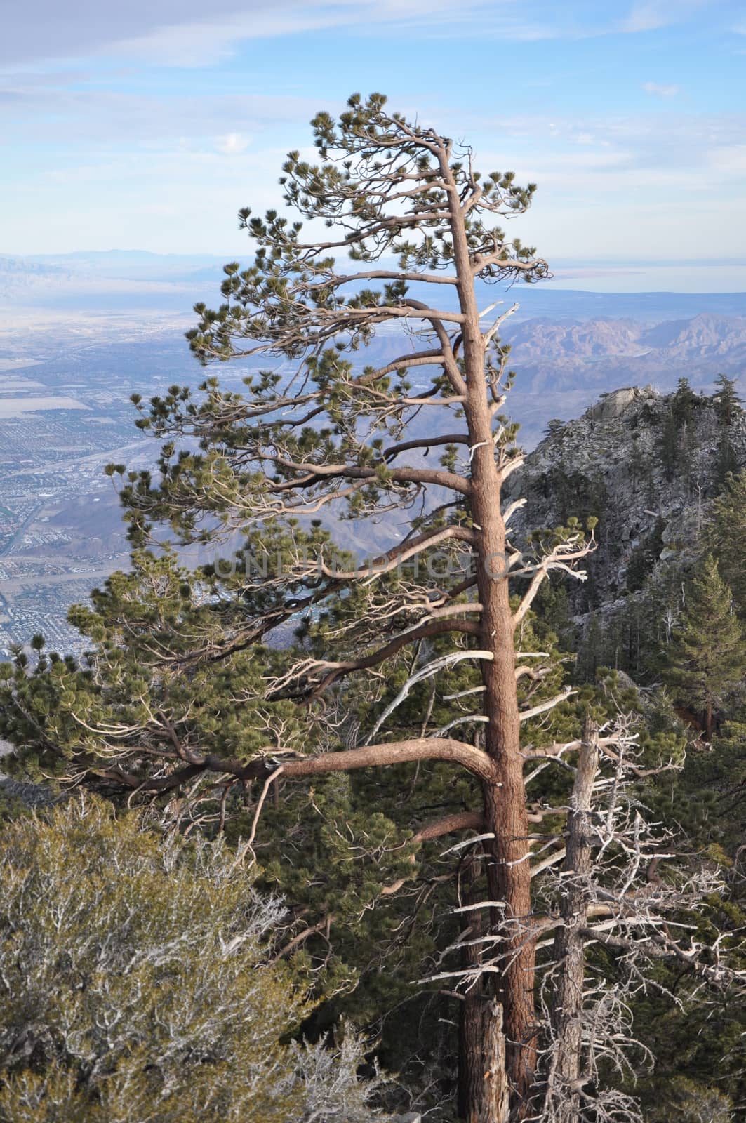 View of Palm Springs from Aerial Tramway in California