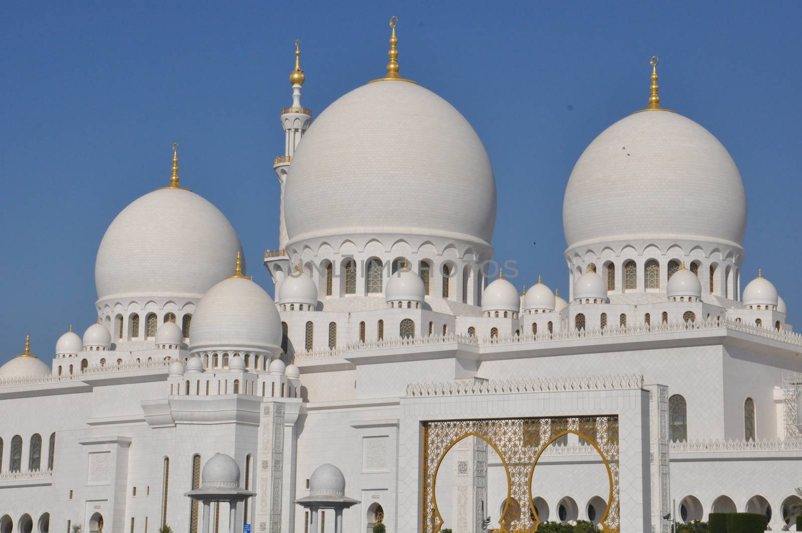 Sheikh Zayed Grand Mosque in Abu Dhabi, UAE by sainaniritu