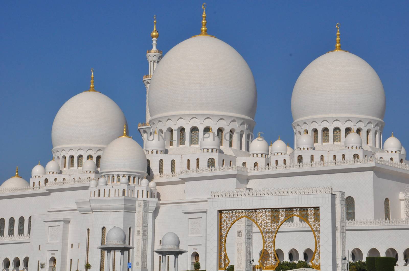 Sheikh Zayed Grand Mosque in Abu Dhabi, UAE by sainaniritu