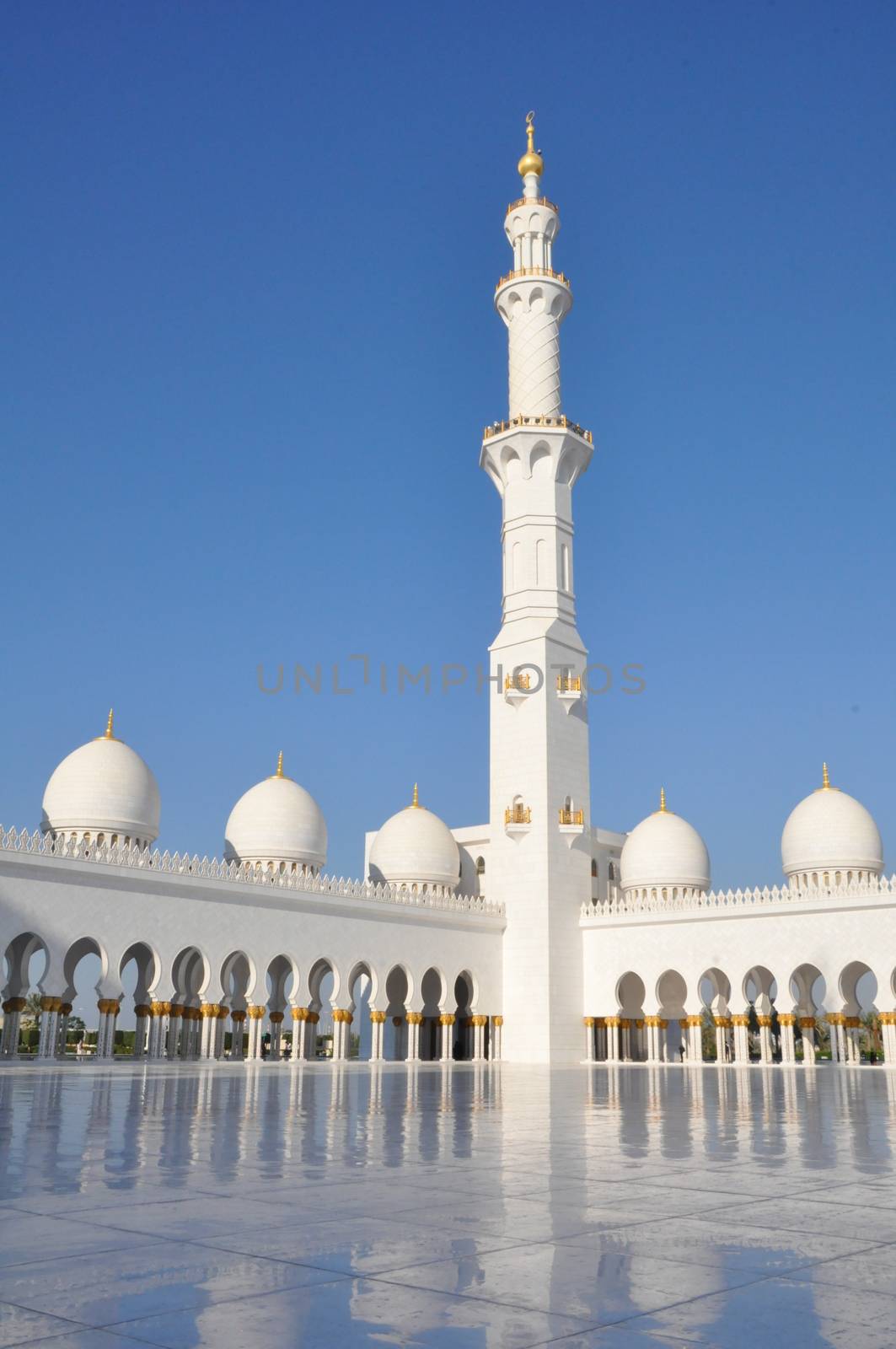 Sheikh Zayed Grand Mosque in Abu Dhabi, UAE by sainaniritu