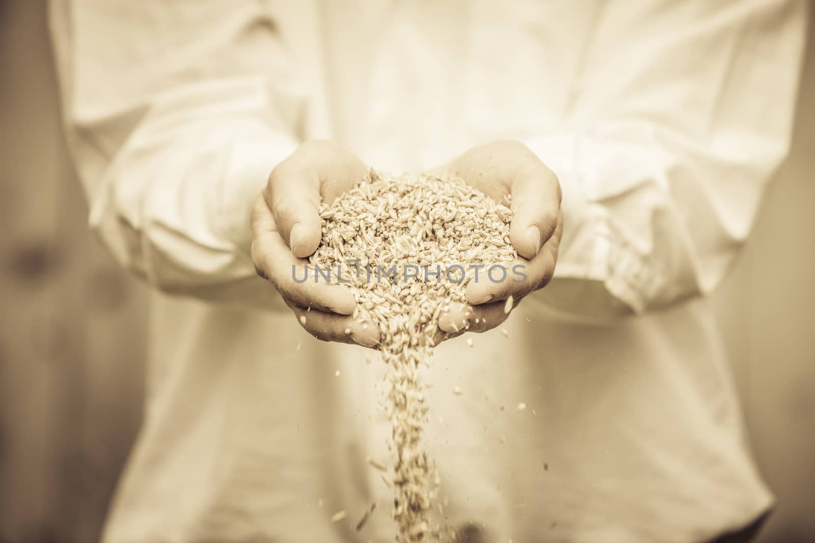 Farmer Showing Animal Dry Food in its hands