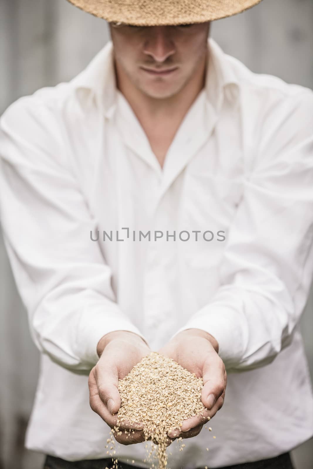 Farmer Showing Animal Dry Food in its hands