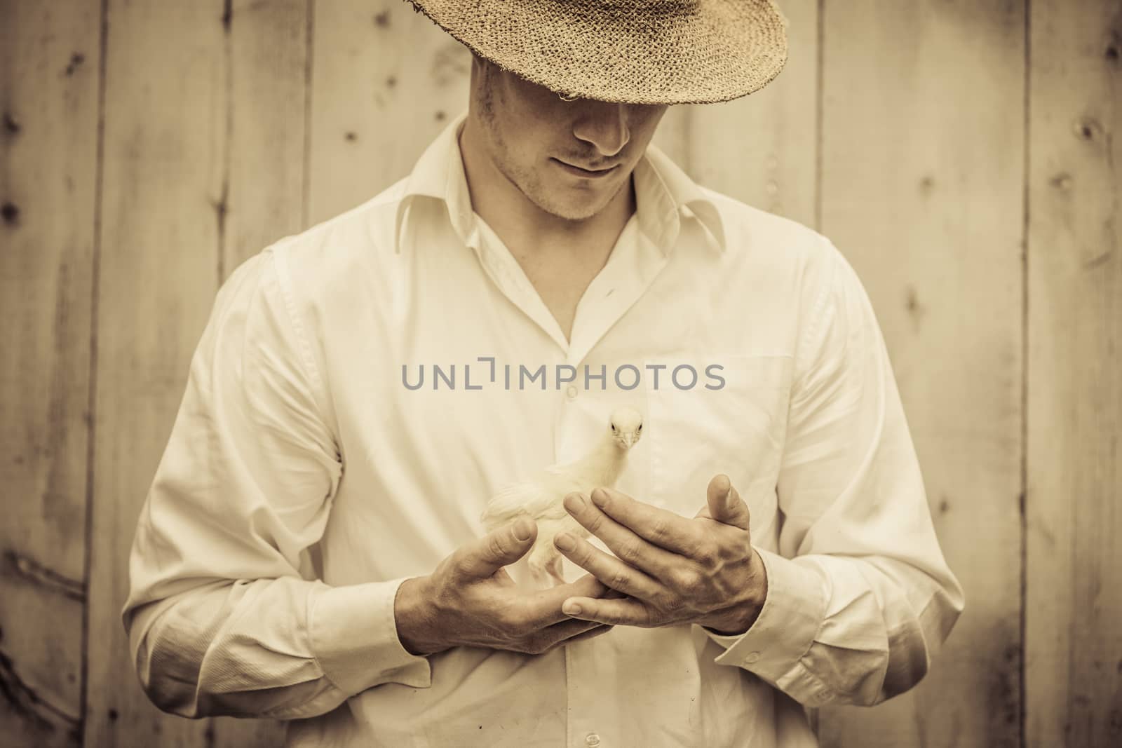 Farmer Holding a Baby Turkey by aetb
