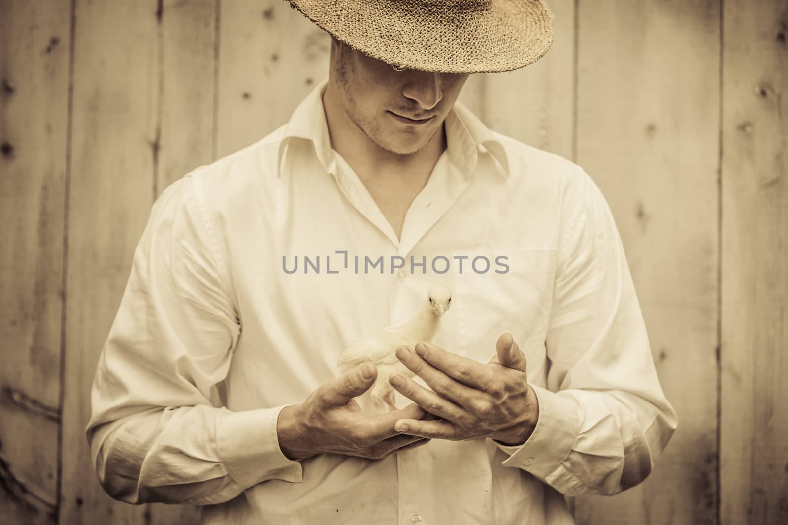 Farmer Holding a Baby Turkey in its hand