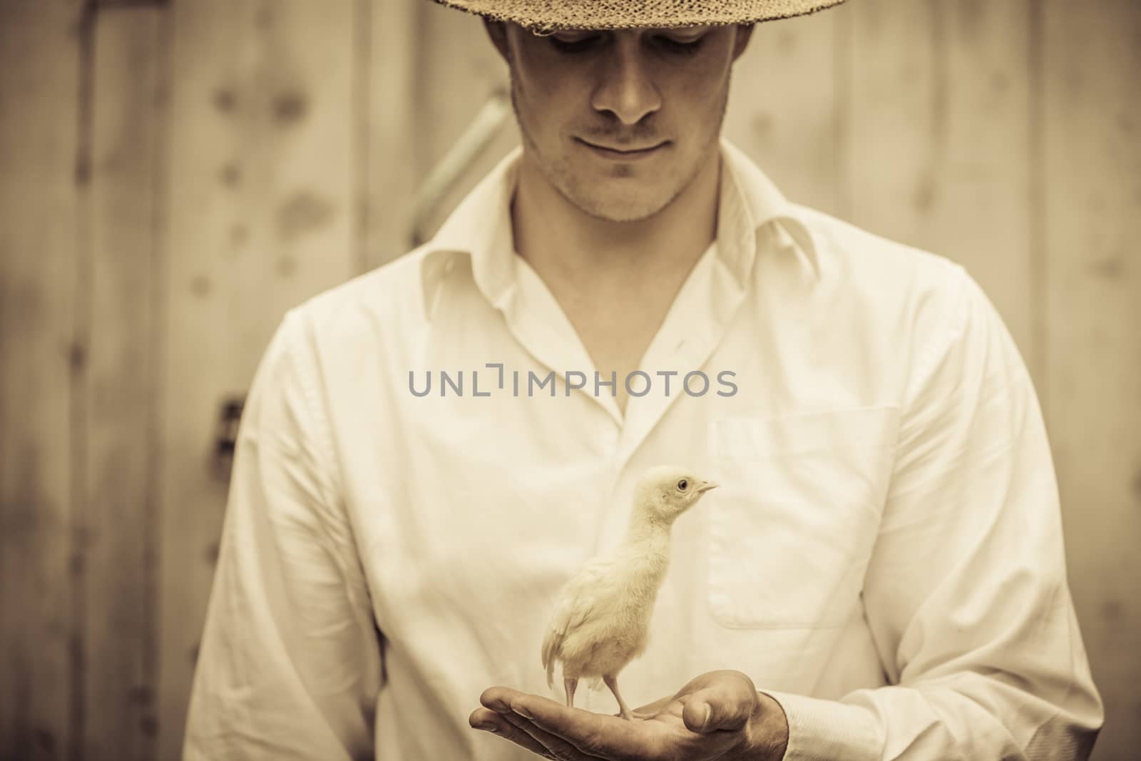Farmer Holding a Baby Turkey in its hand