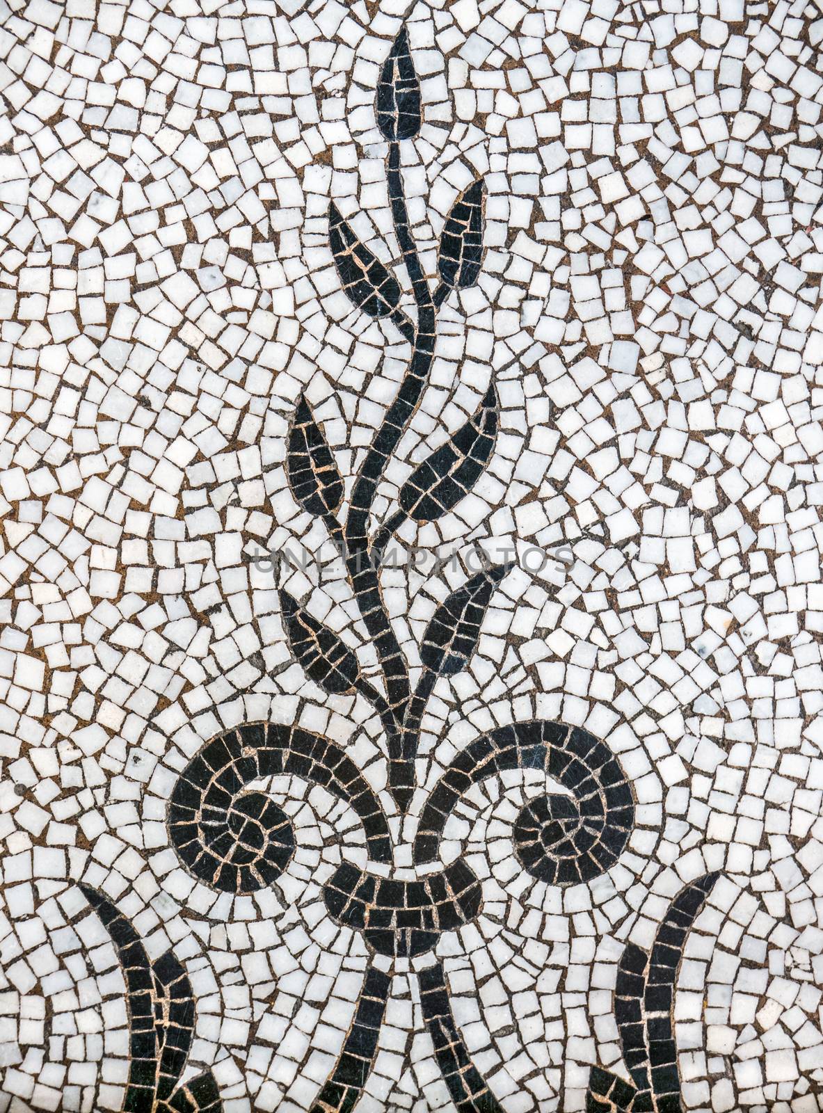 Background Pattern Of Ancient Mosaic Tiles Depicting A Plant Of Vine