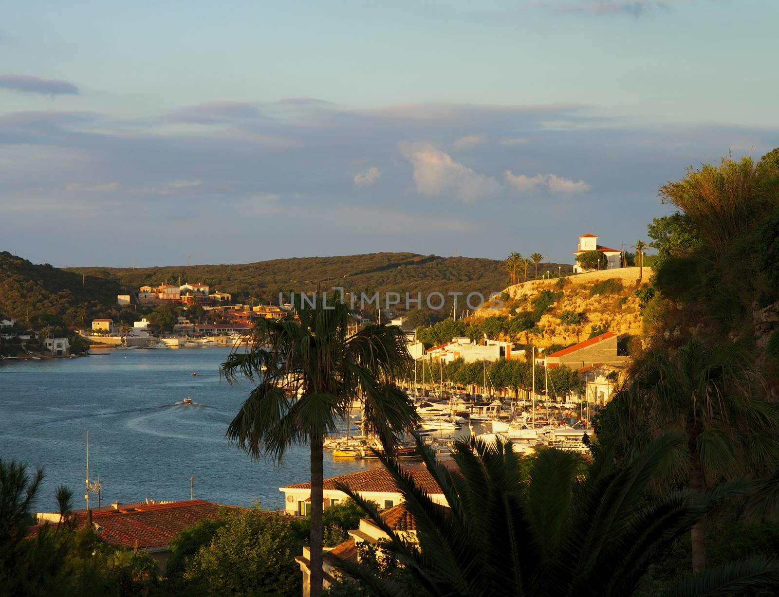 View on Mahon Harbor and Port through Palm Trees, Menorca, Balearic Islands