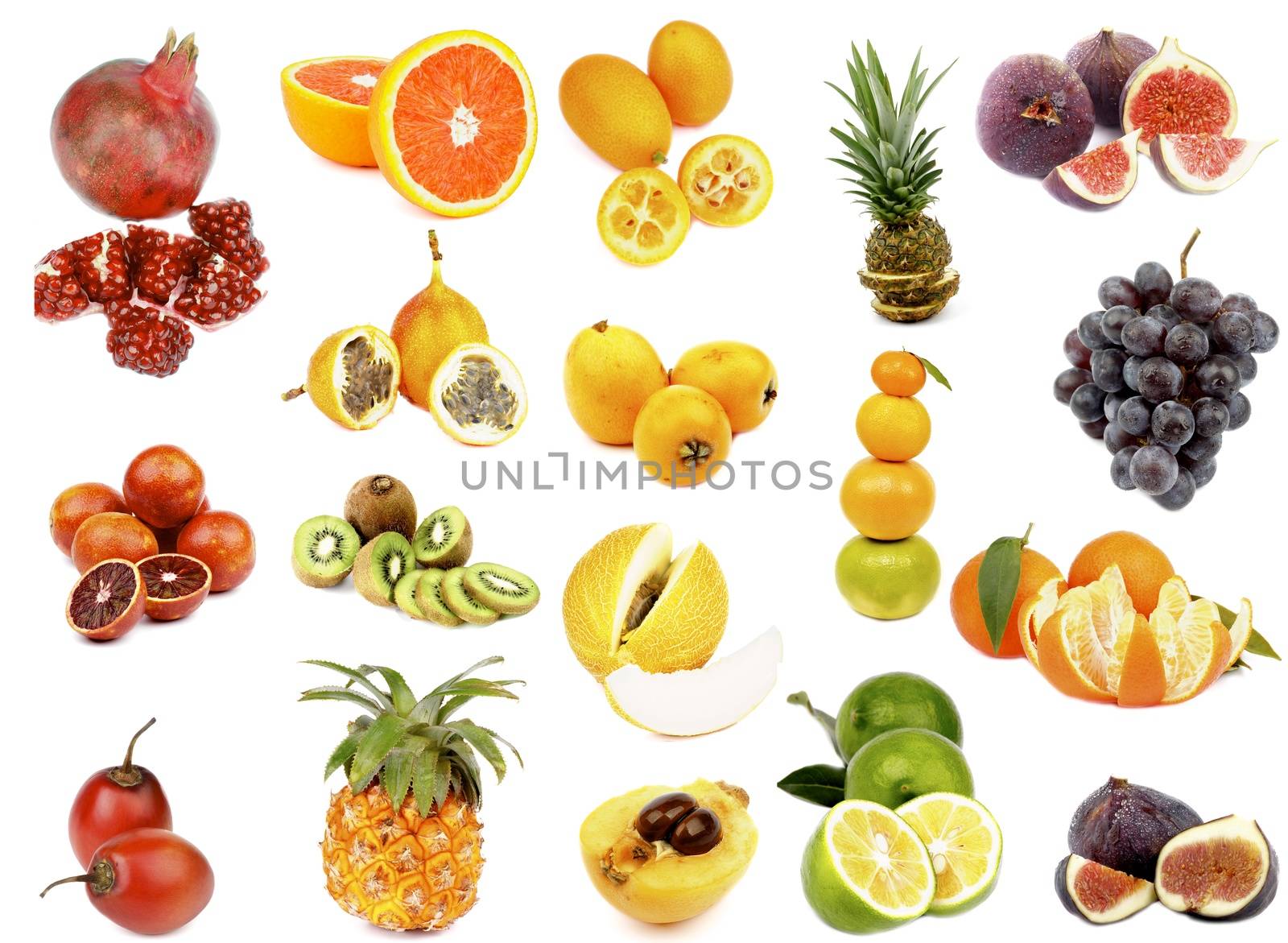 Tropical Fruits Collection with Pomegranate, Blood Oranges, Tamarillo Fruits, Grenadillas, Kiwi, Pineapple, Oranges, Loquat Medlar Fruit, Cantaloupe Melon, Lemon, Lime, Figs, Red Grape and Tangerines isolated on white background