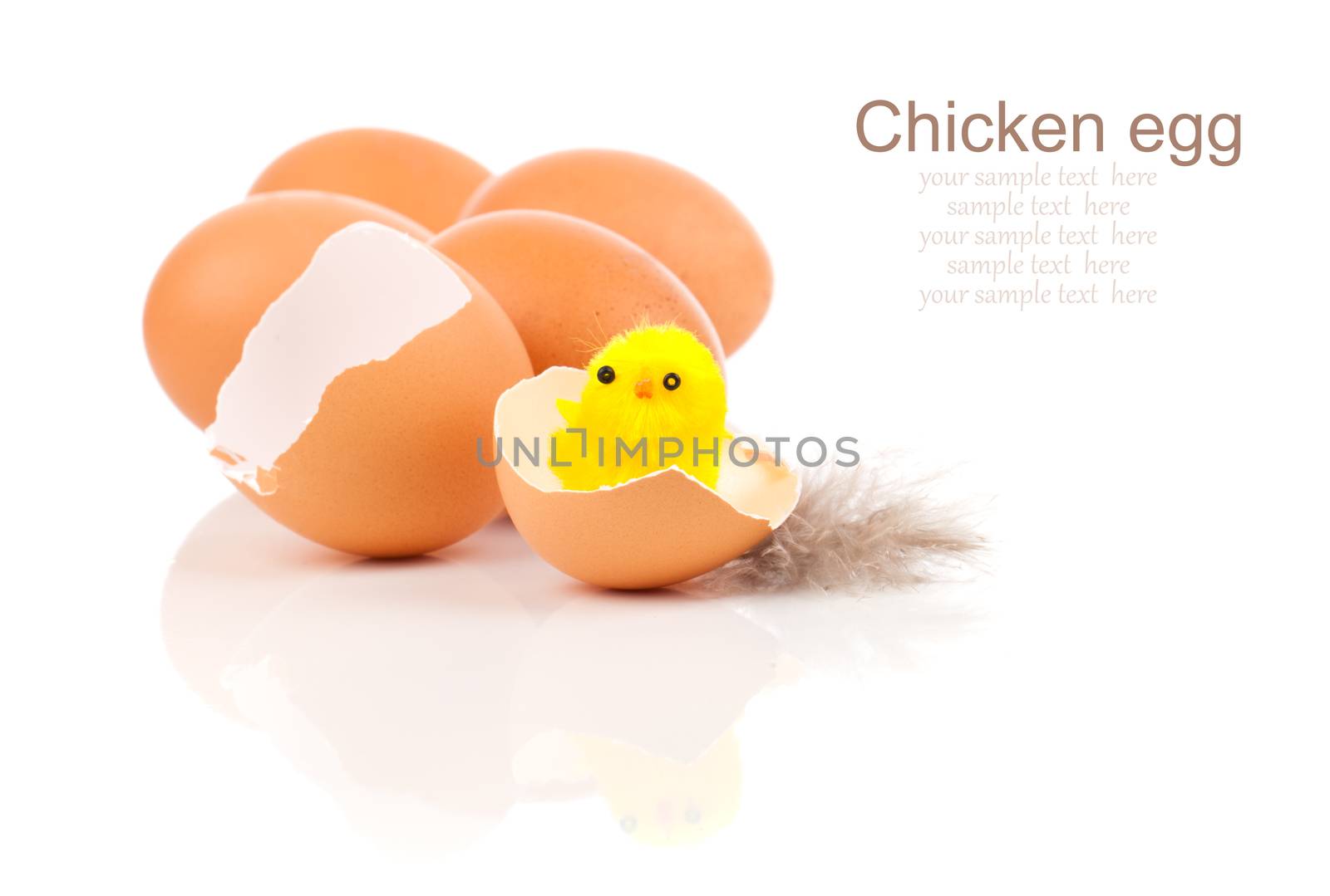 broken egg with chicken, on white background by motorolka