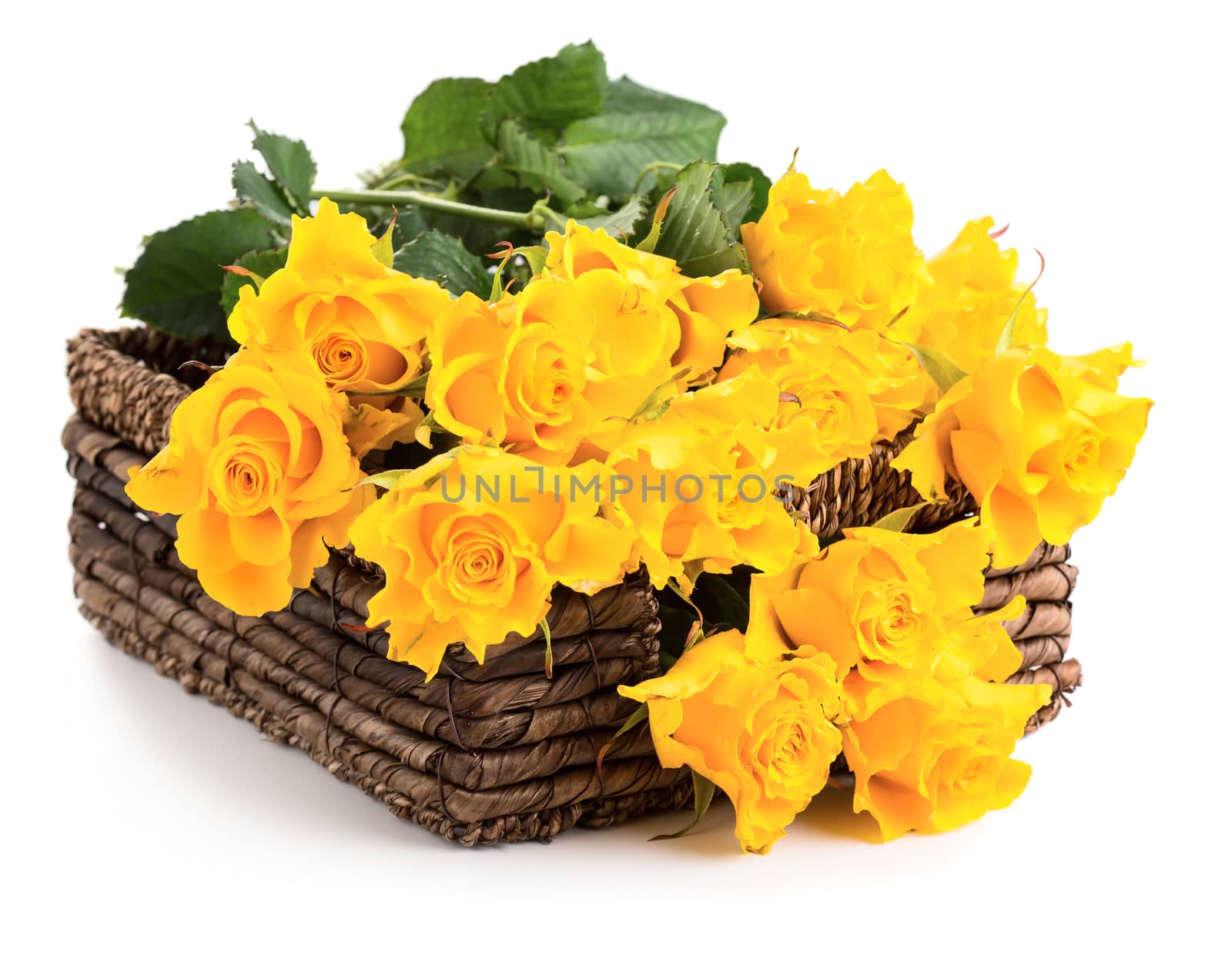 Beautiful bouquet of roses in basket isolated on white background
