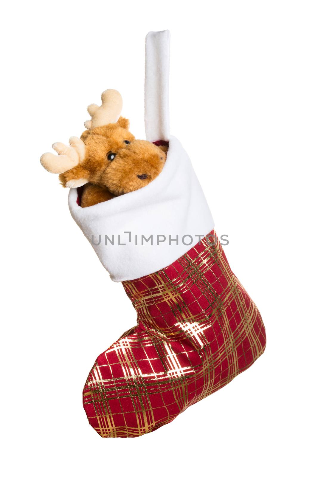 Christmas stocking with toy deer inside isolated on white background