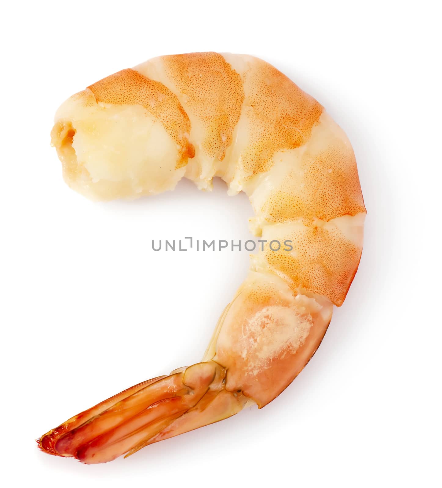 Closeup view of shrimp tail isolated on the white background 