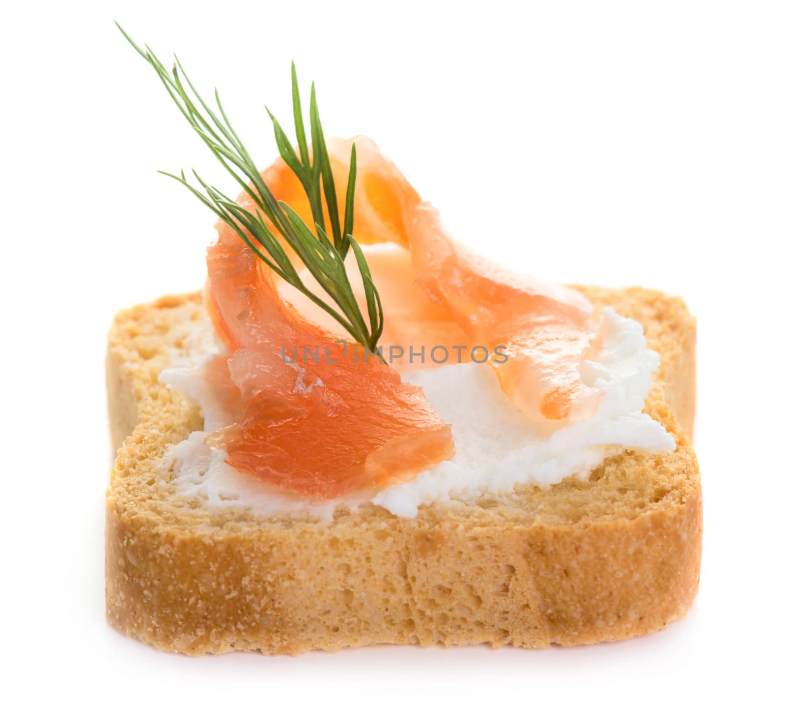 Salmon canape isolated on white background