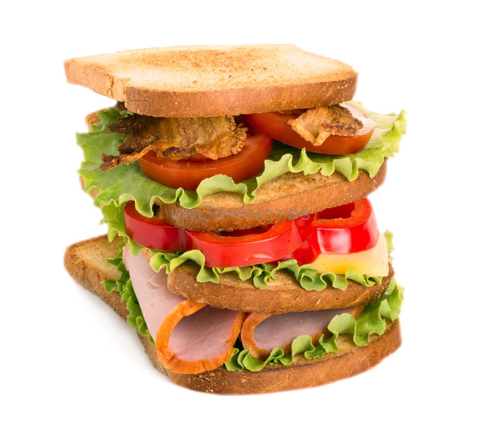 Sandwich isolated on white background