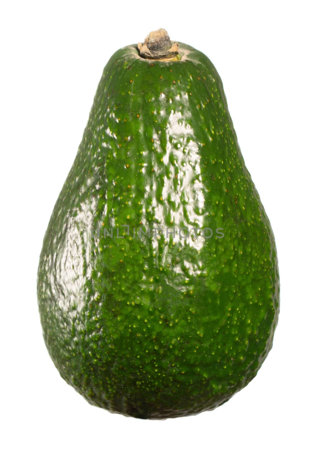 Whole avocado isolated on white