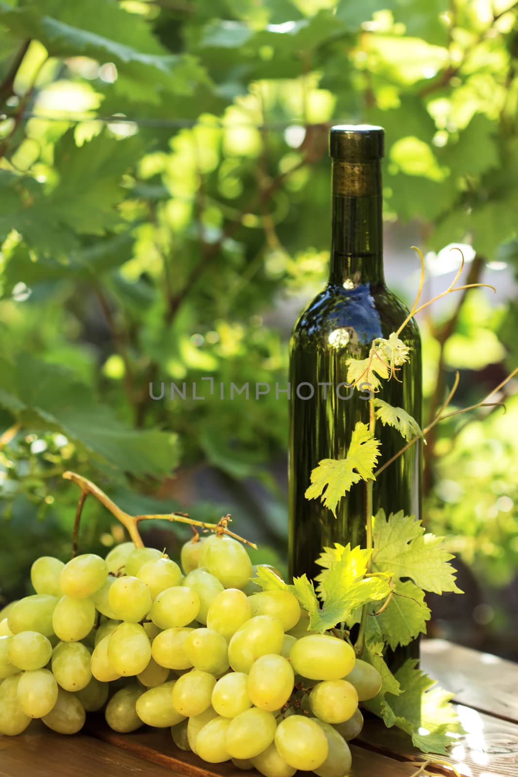 White wine bottle and bunch of grapes against green spring background 