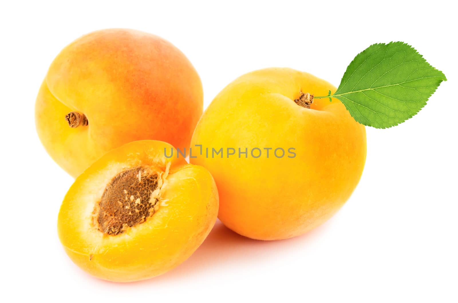 Ripe apricots with leaves isolated on white background