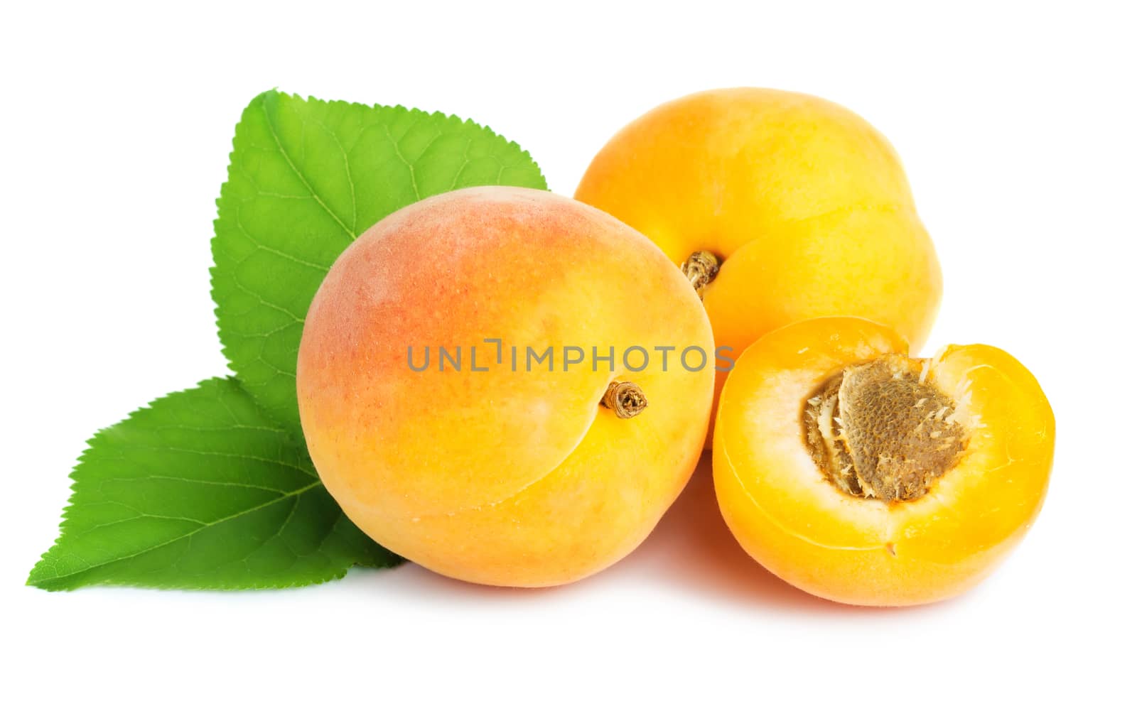 Ripe apricots with leaves isolated on white background
