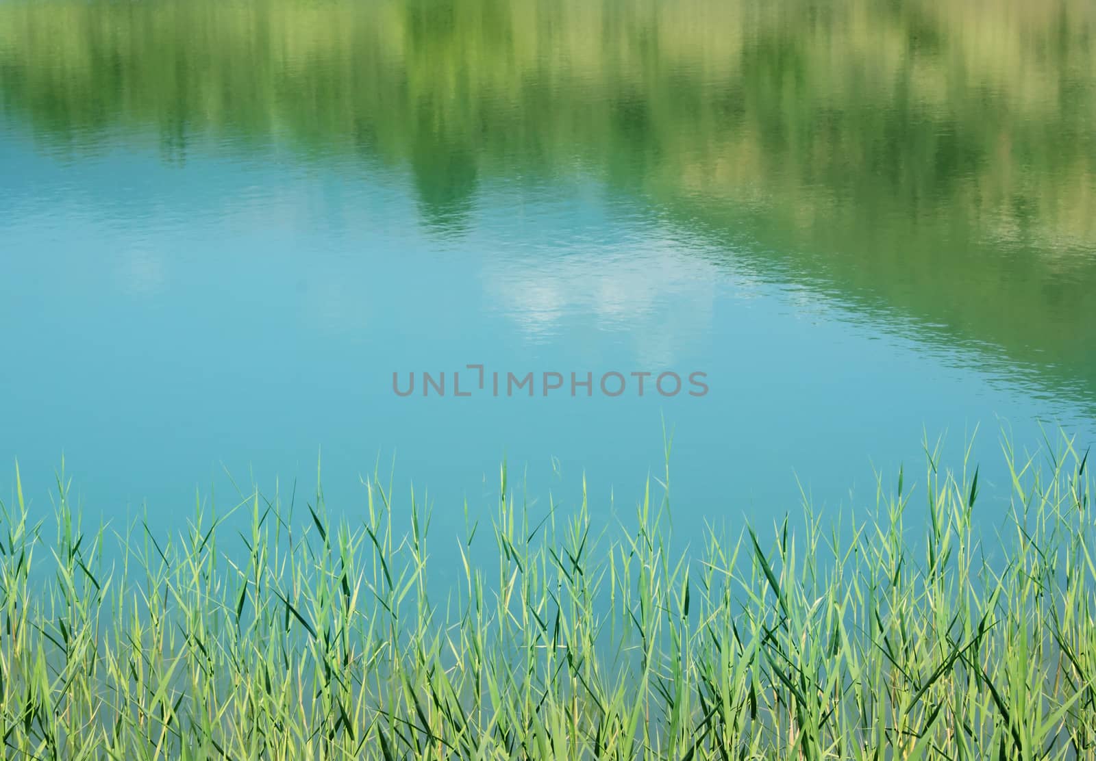 Lake with mountain forest reflection