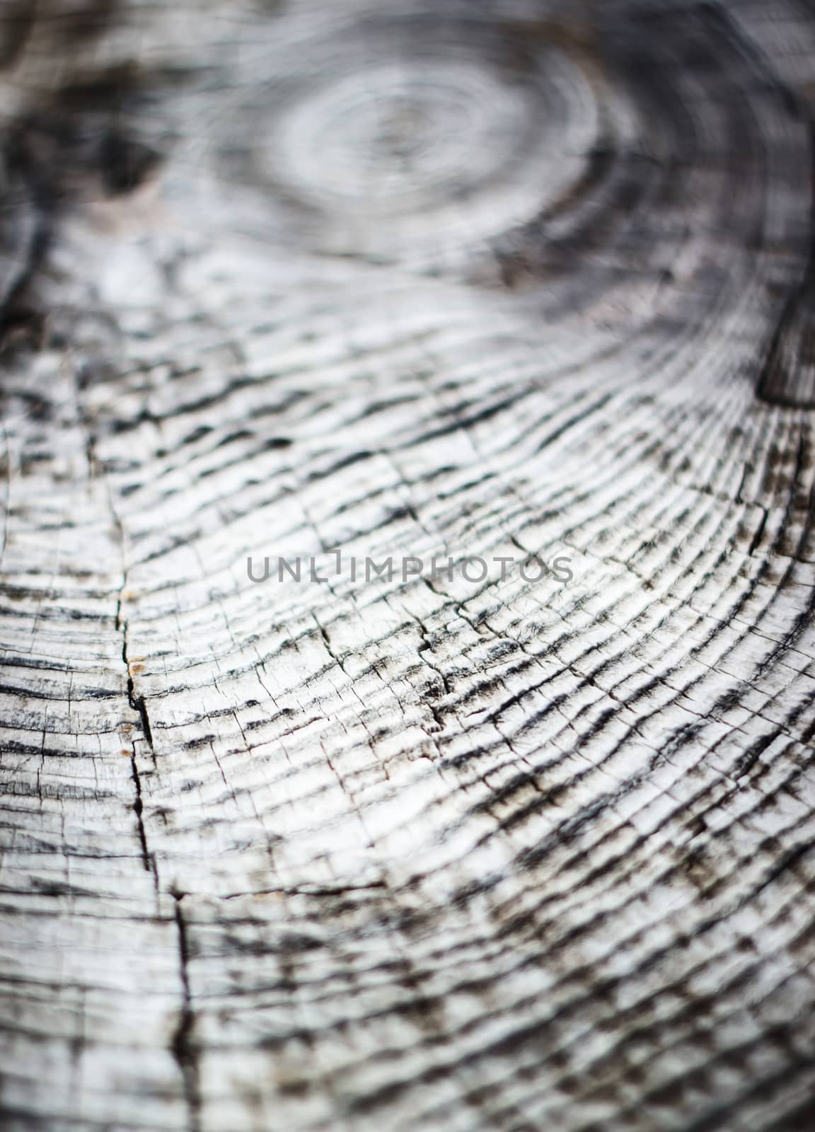 Old wooden texture, natural background