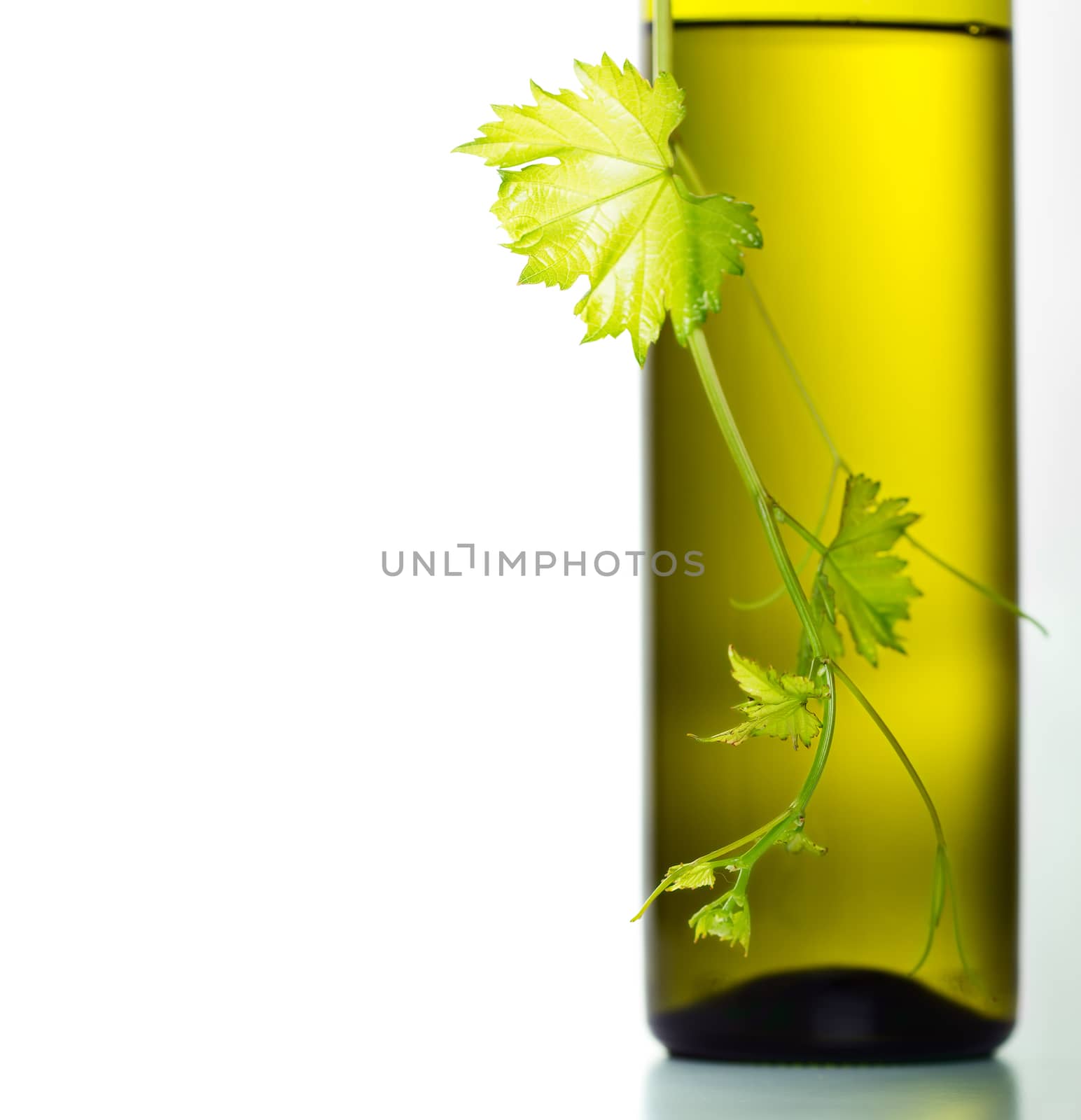 Wine bottle and green grape vine isolated on white background