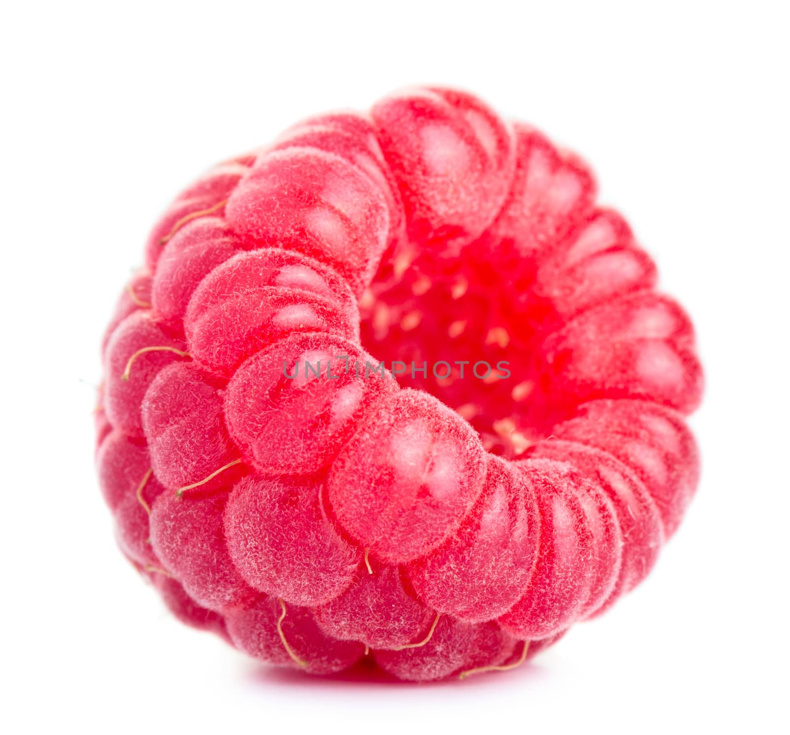 Ripe red raspberry isolated on white background