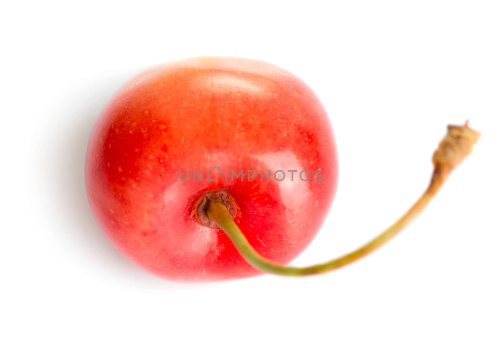 Cherry isolated on white background