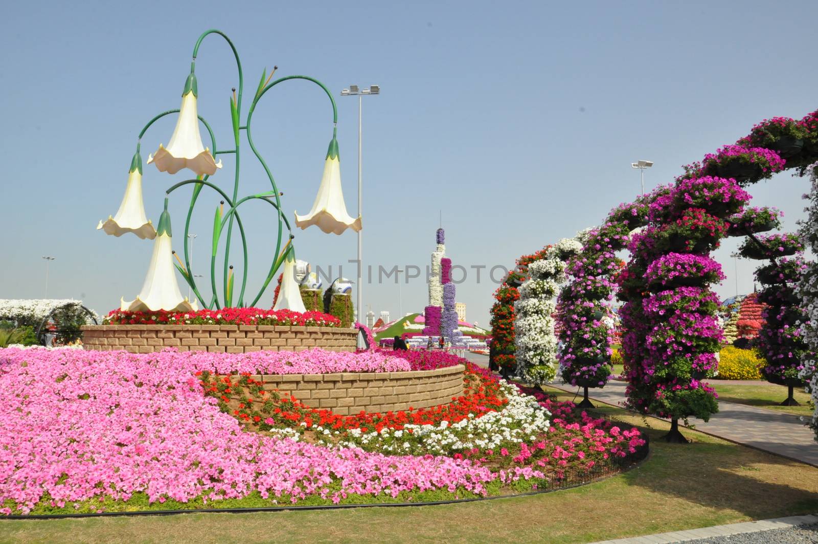 Dubai Miracle Garden in the UAE. It has over 45 million flowers.