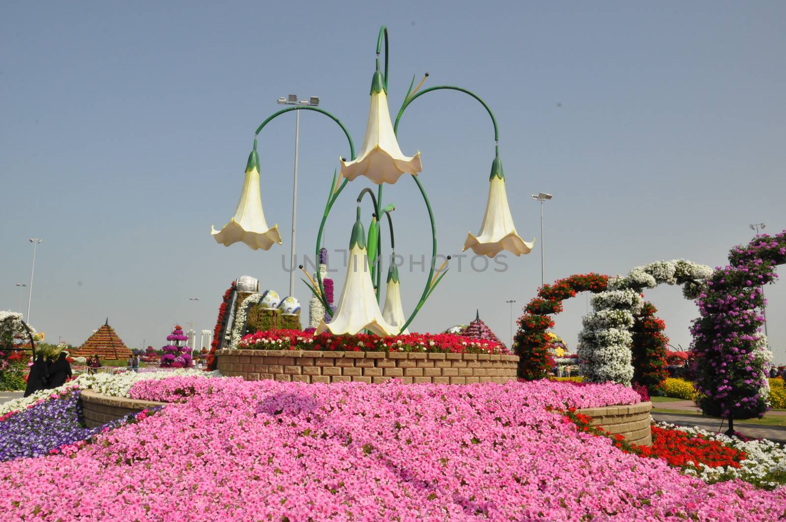 Dubai Miracle Garden in the UAE. It has over 45 million flowers.