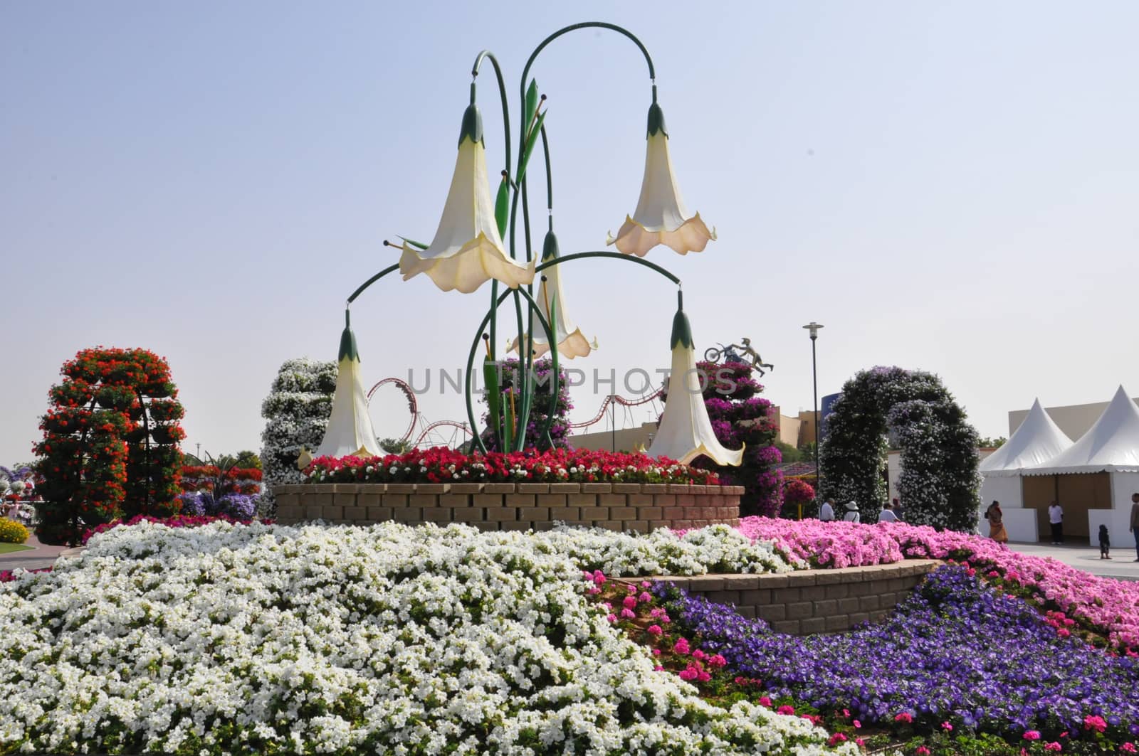 Dubai Miracle Garden in the UAE. It has over 45 million flowers.