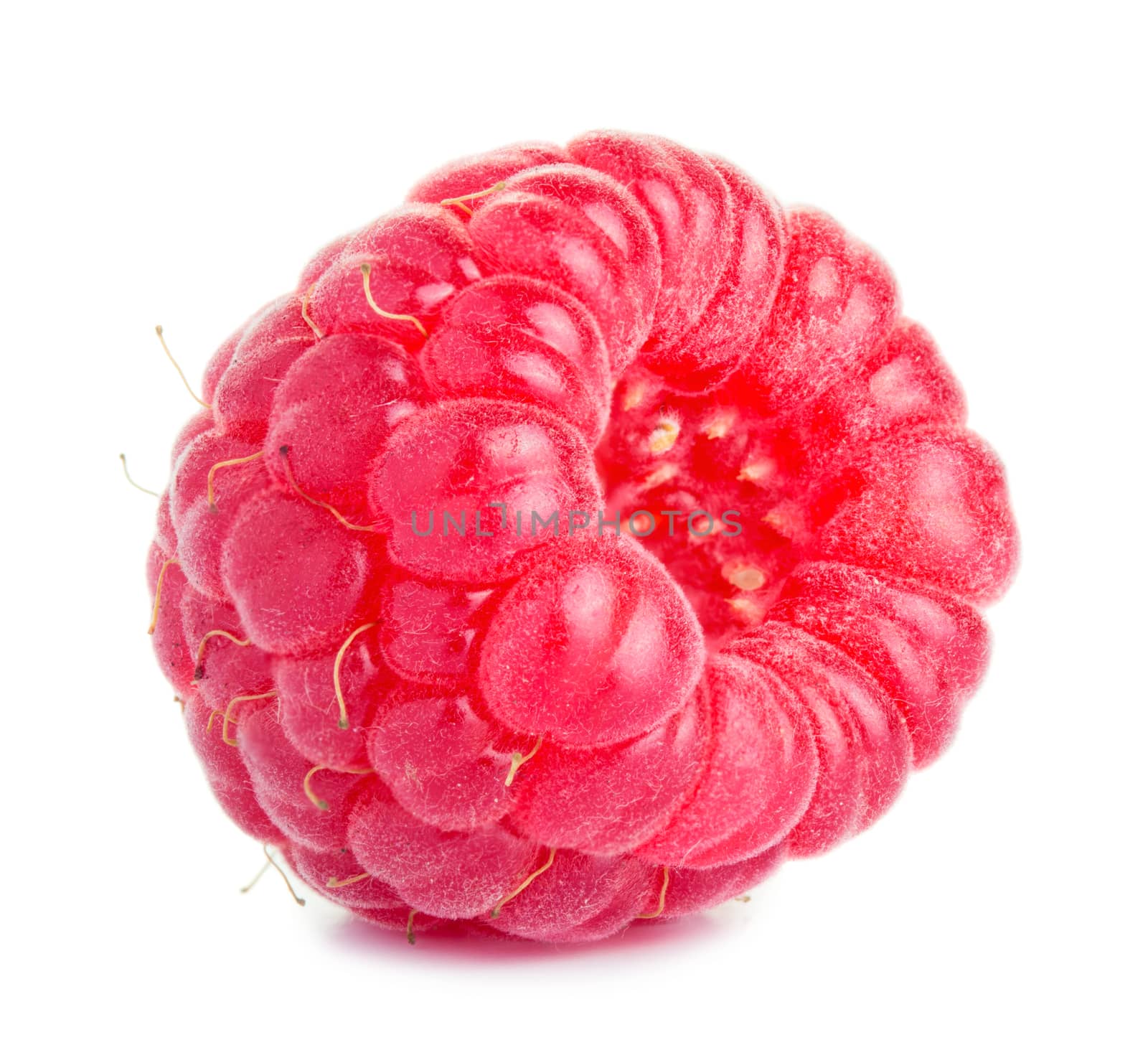 Ripe red raspberry isolated on white background