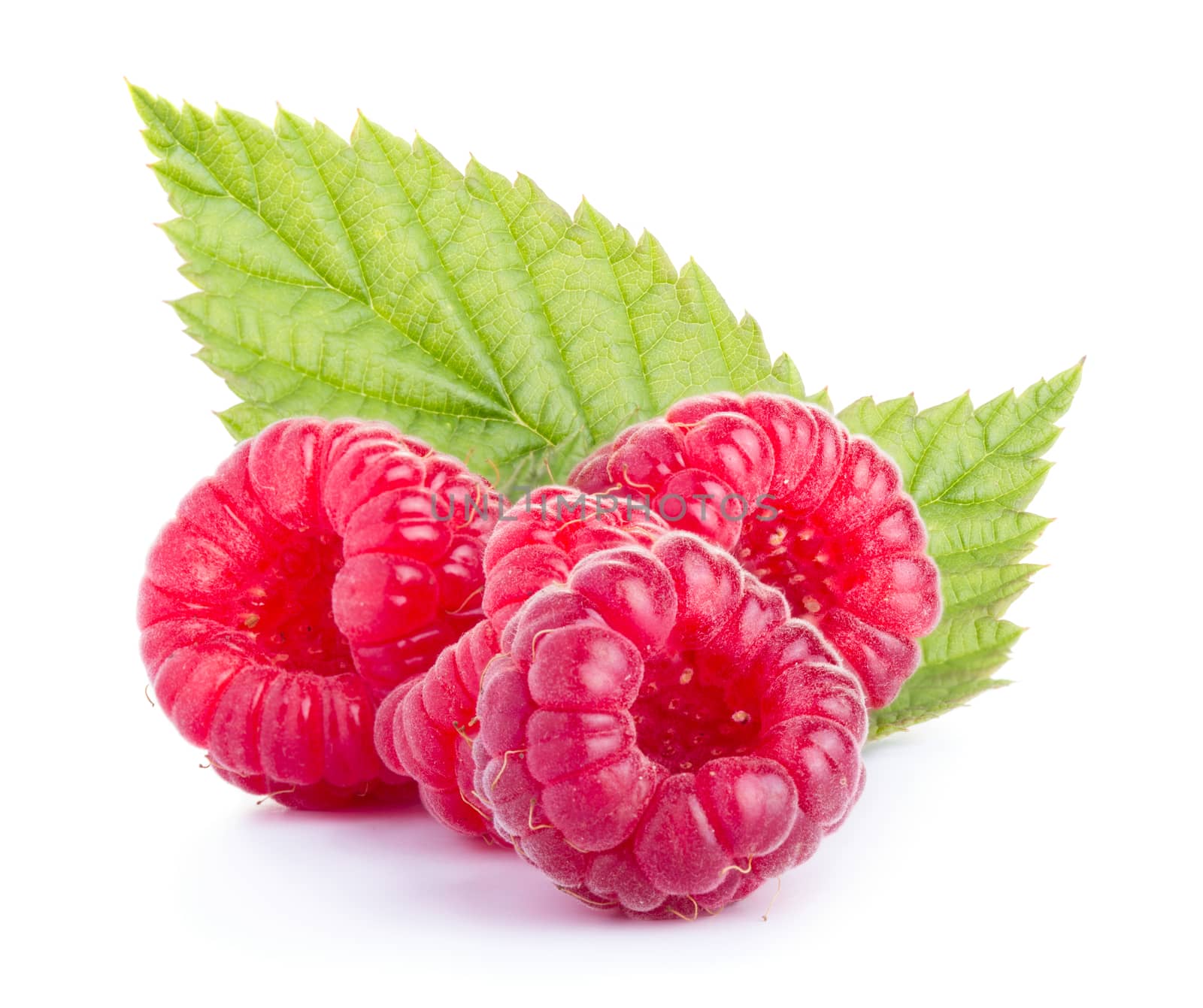 Ripe red raspberries with green leaves isolated on white background