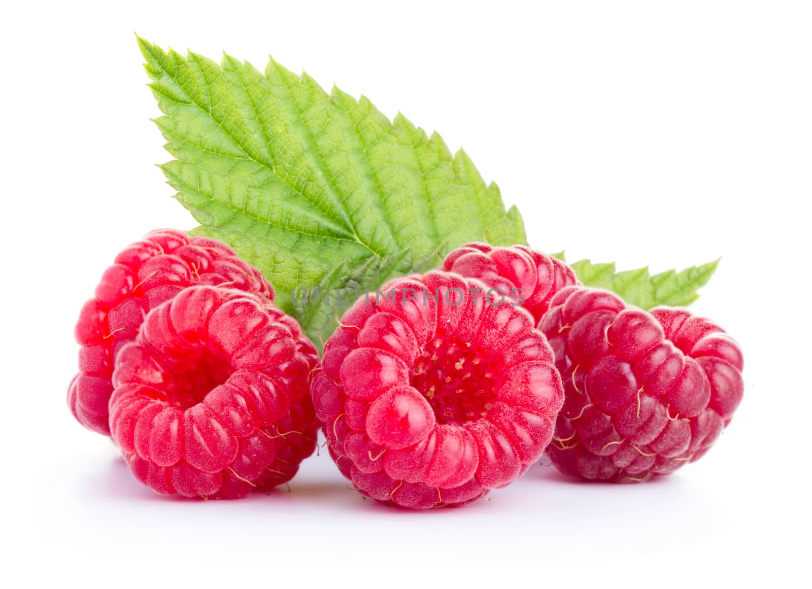 Ripe red raspberries with leaves isolated on white background