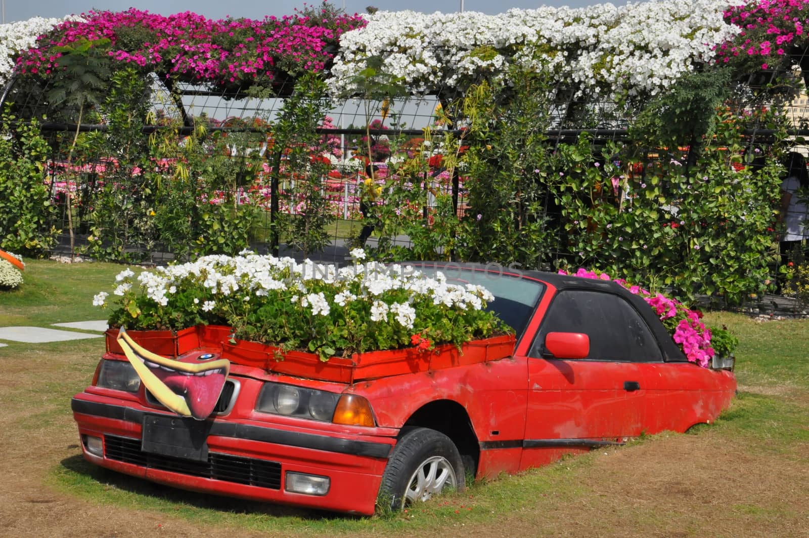 Dubai Miracle Garden in the UAE by sainaniritu