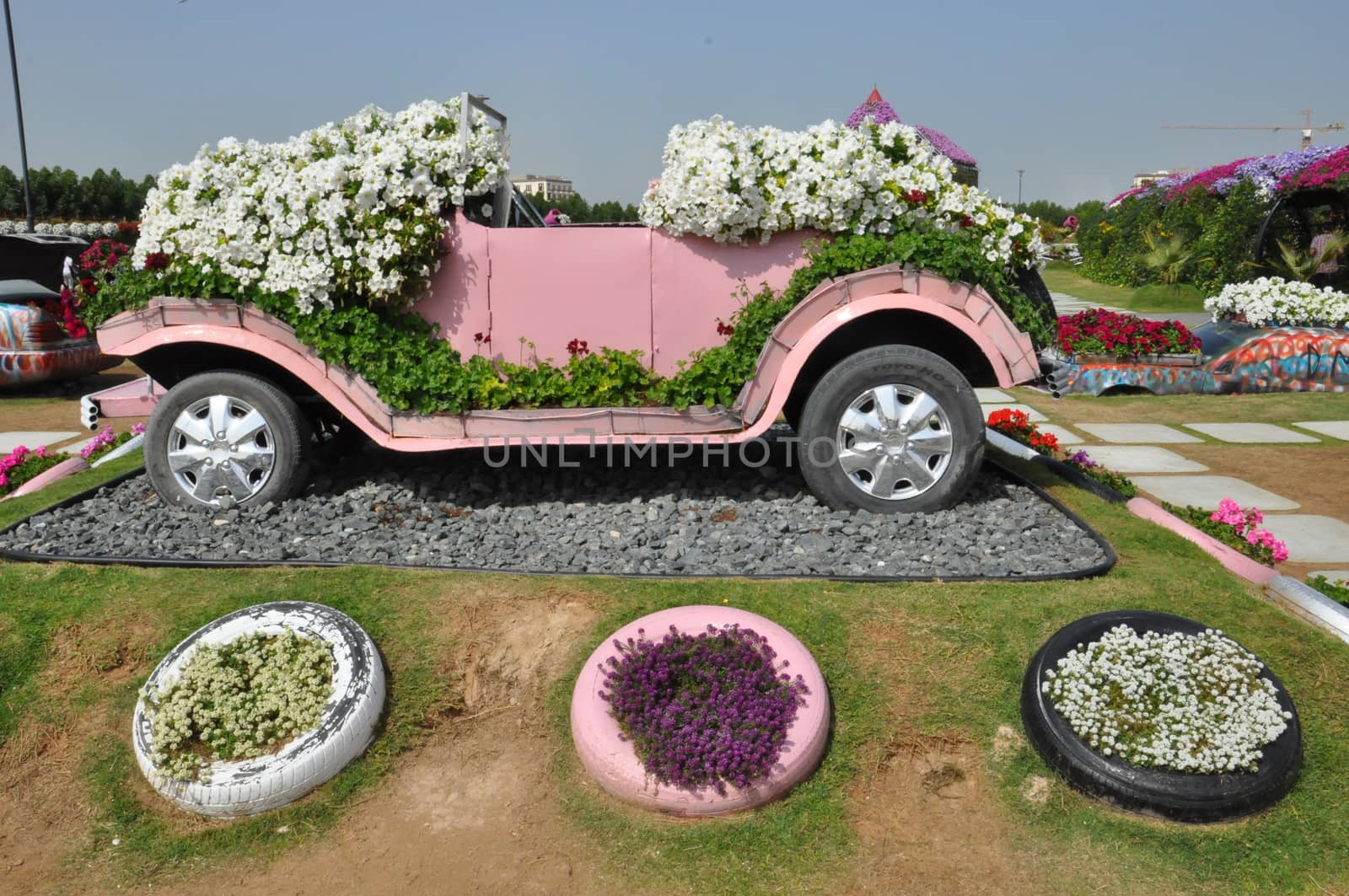 Dubai Miracle Garden in the UAE. It has over 45 million flowers.