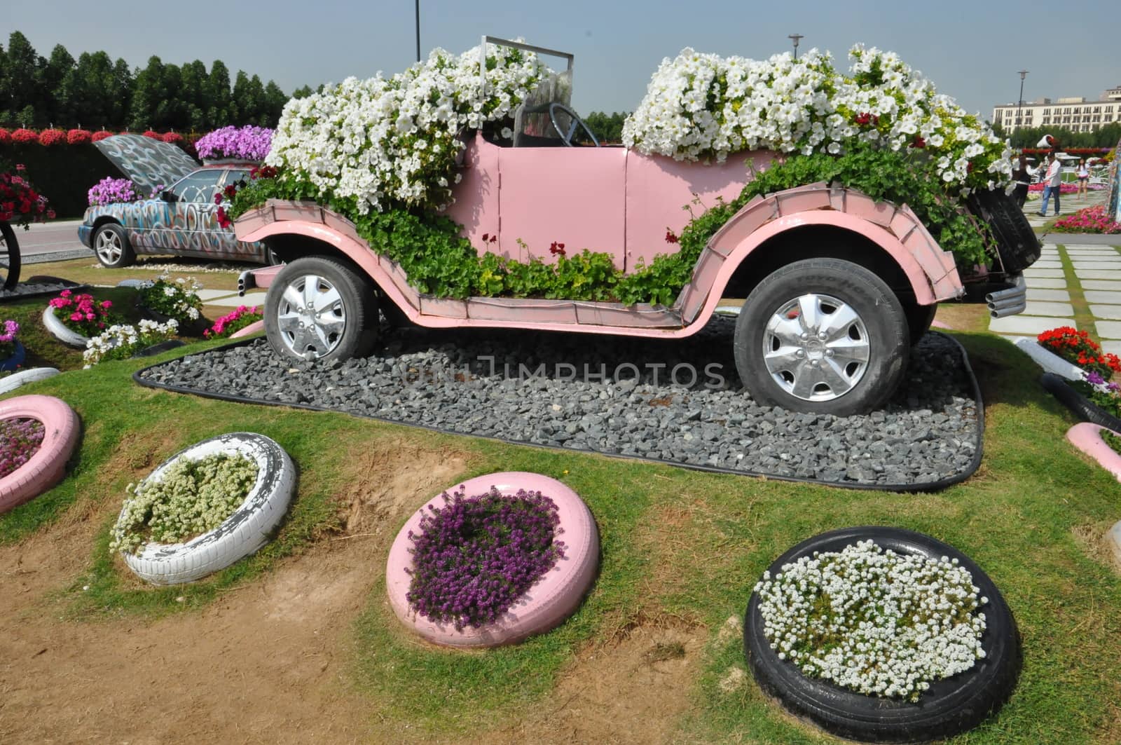 Dubai Miracle Garden in the UAE. It has over 45 million flowers.